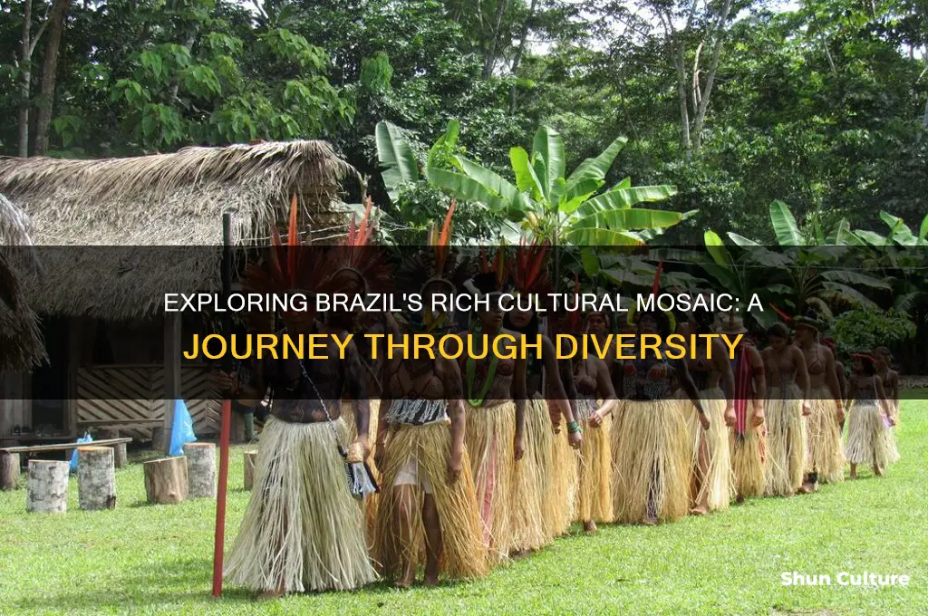 how diverse is brazil