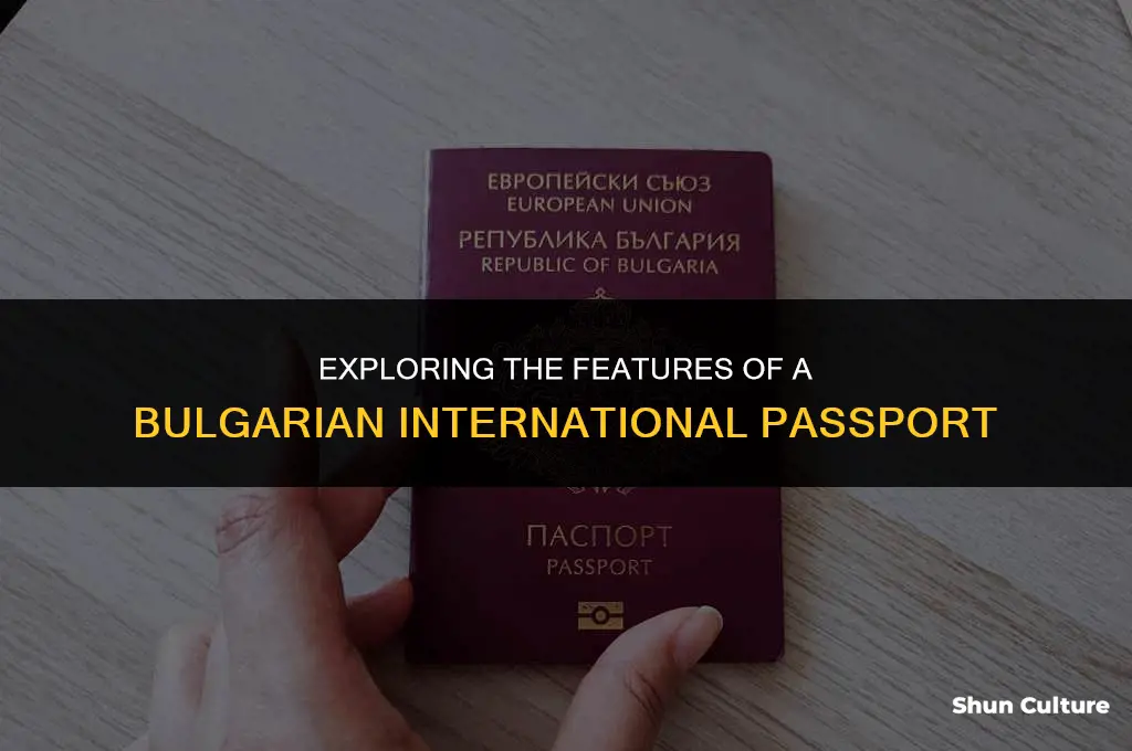 how do a bulgarian international passport look like