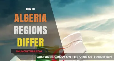 Exploring Algeria's Diverse Regions: Unique Cultures, Landscapes, and Traditions