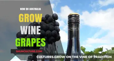 Australian Wine Grapes: Secrets of the Trade