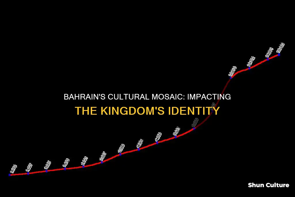 how do bahrain enthnicities affect it