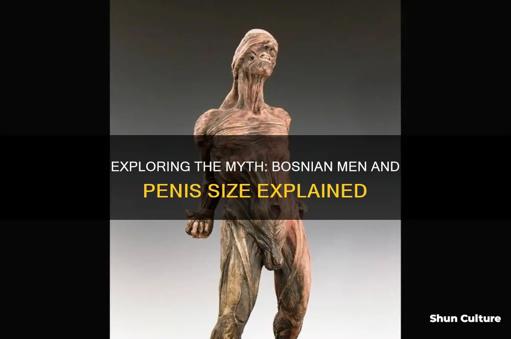 how do bosnian men have larger penises