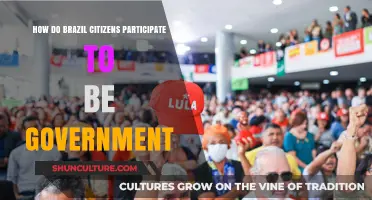 How Brazil's Citizens Engage in Shaping Their Government