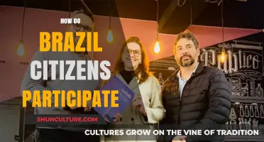 How Brazil Citizens Engage in Democracy and Civic Participation