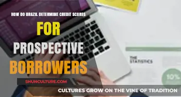 Understanding Brazil's Credit Scoring System for Borrowers: Key Factors Explained