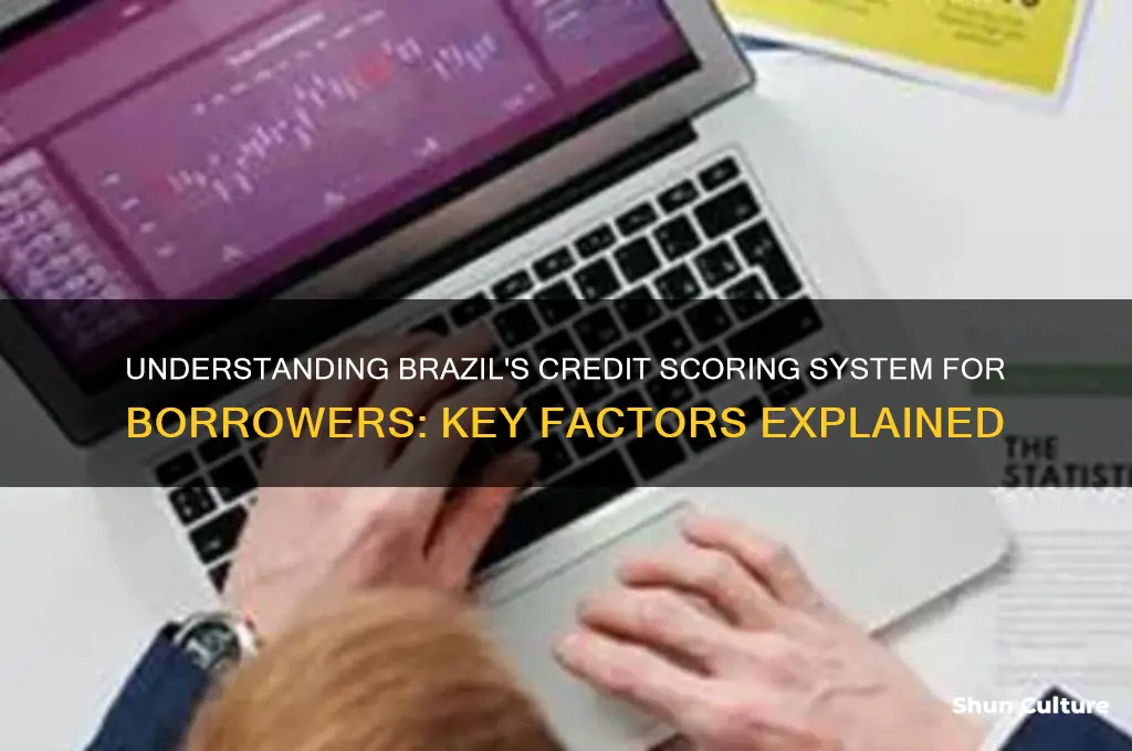 how do brazil determine credit scores for prospective borrowers