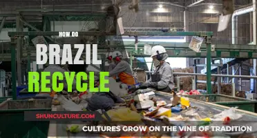 Brazil's Recycling Revolution: Innovative Strategies for a Sustainable Future