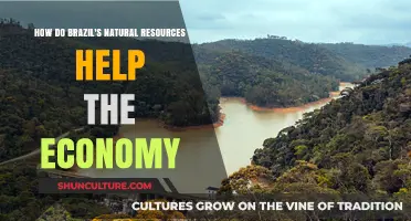 Brazil's Natural Resources: Fueling Economic Growth and Global Influence
