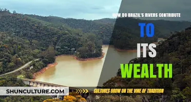 Brazil's Rivers: Lifelines of Economic Prosperity and Natural Wealth