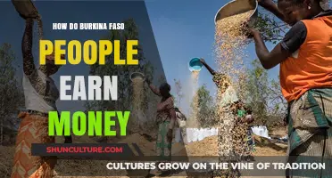 Economic Resilience: Diverse Income Sources in Burkina Faso