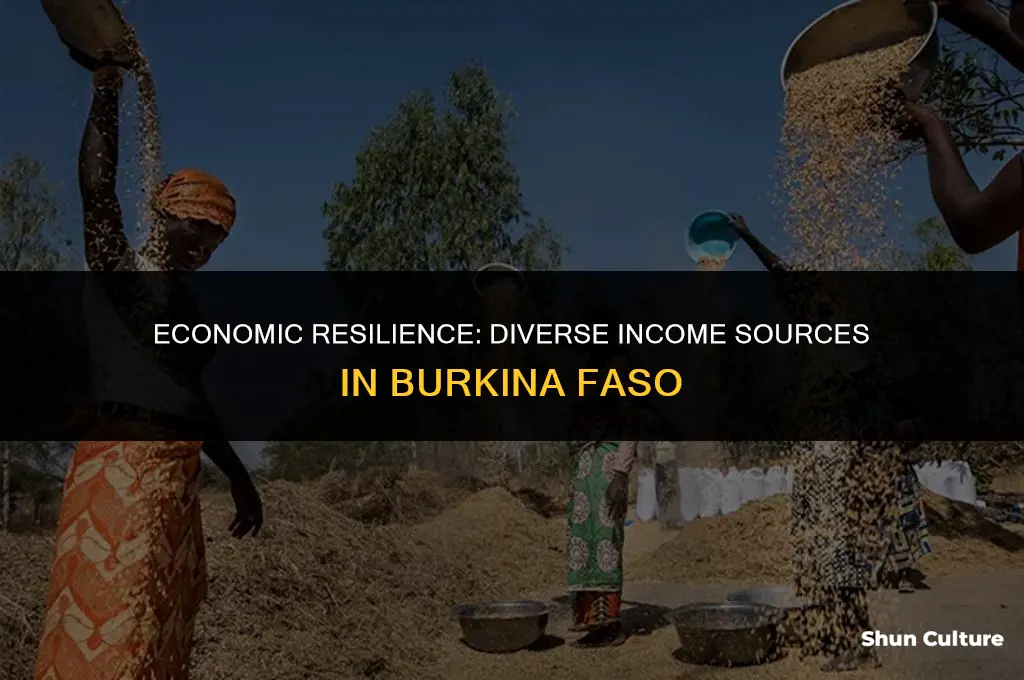 how do burkina faso peoople earn money