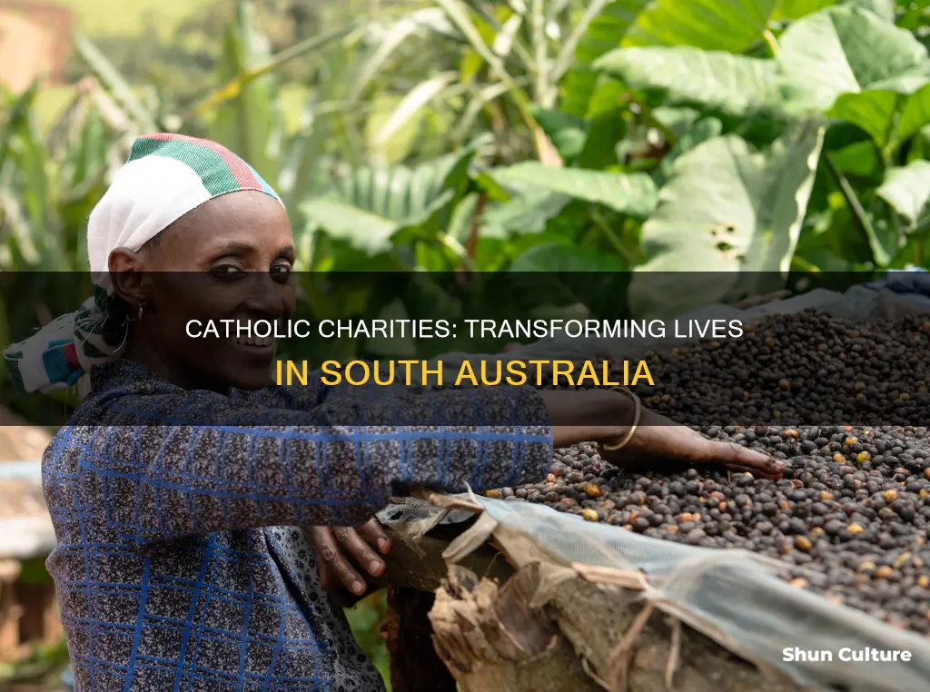 how do catholic charities help people in south australia