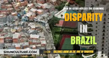 Urban Divide: Brazil's Cities Mirroring Economic Inequality and Social Struggles