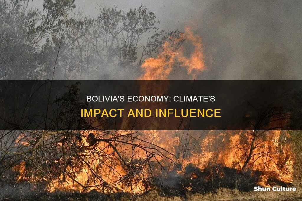 how do climatic conditions affect economic activities in bolivia