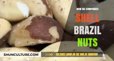 How Companies Shell Brazil Nuts: A Detailed Processing Guide