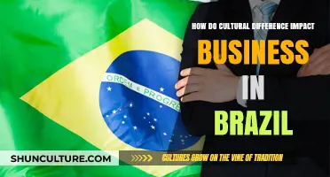 Cultural Nuances Shaping Business Success in Brazil: Insights and Strategies