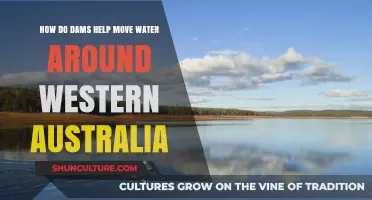 WA's Waterways: Dams for Effective Water Distribution