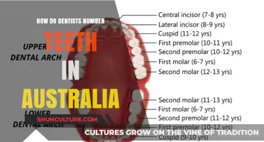 Teeth Numbering: Australian Dentists' Unique System Explained