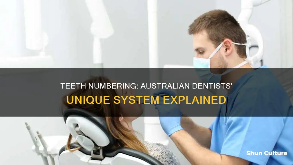 how do dentists number teeth in australia