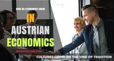 Understanding Economic Growth: Austrian Economics' Unique Perspective