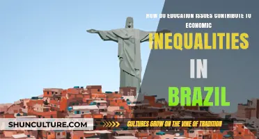Education Gaps Fueling Brazil's Persistent Economic Inequality Crisis