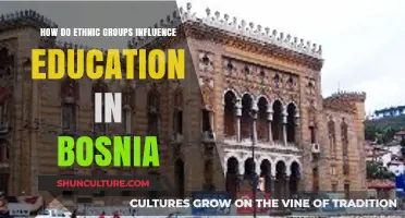 Ethnic Diversity's Impact on Bosnia's Education System and Policies