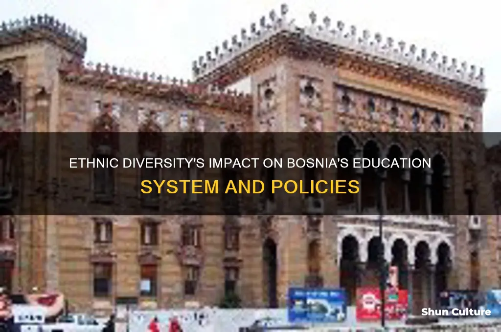 how do ethnic groups influence education in bosnia