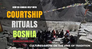 Gangas' Role in Bosnia's Unique Courtship Traditions and Rituals