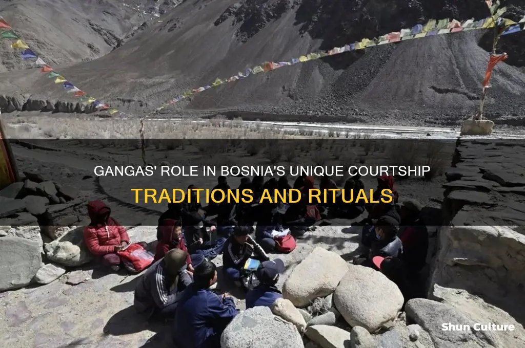 how do gangas help with courtship rituals bosnia