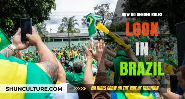 Exploring Brazil's Gender Dynamics: Traditions, Changes, and Modern Realities