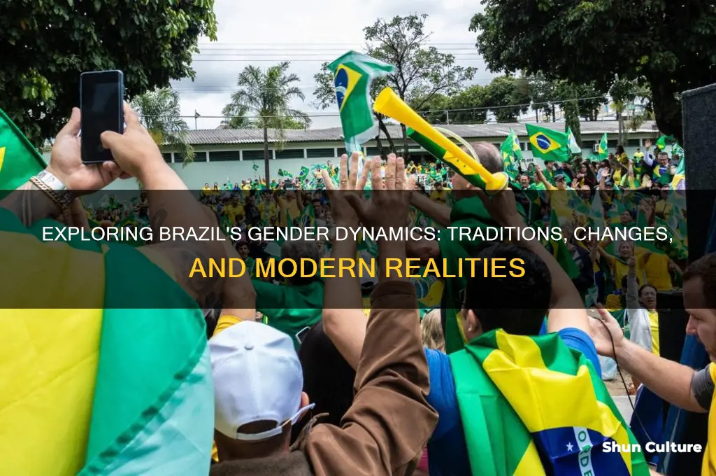 how do gender roles look in brazil
