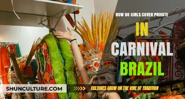 Brazilian Carnival Fashion: How Girls Stylishly Cover Private Areas