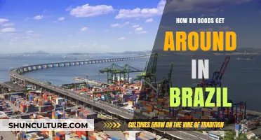 Navigating Brazil's Complex Logistics: How Goods Move Across the Nation