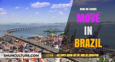 Navigating Brazil's Logistics: How Goods Move Across the Nation