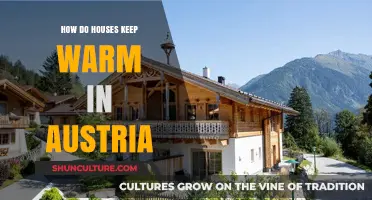 Cozy Homes: Austria's Secrets to Staying Warm