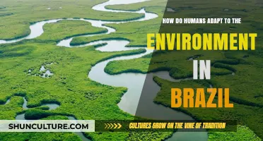 Brazil's Environmental Adaptation: How Humans Thrive in Diverse Ecosystems