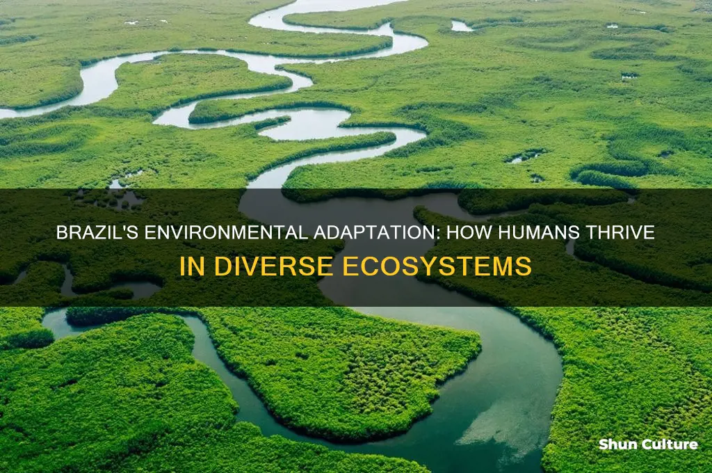 how do humans adapt to the environment in brazil