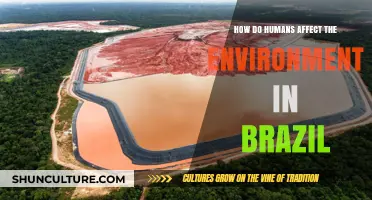 Human Impact on Brazil's Environment: Causes, Consequences, and Solutions