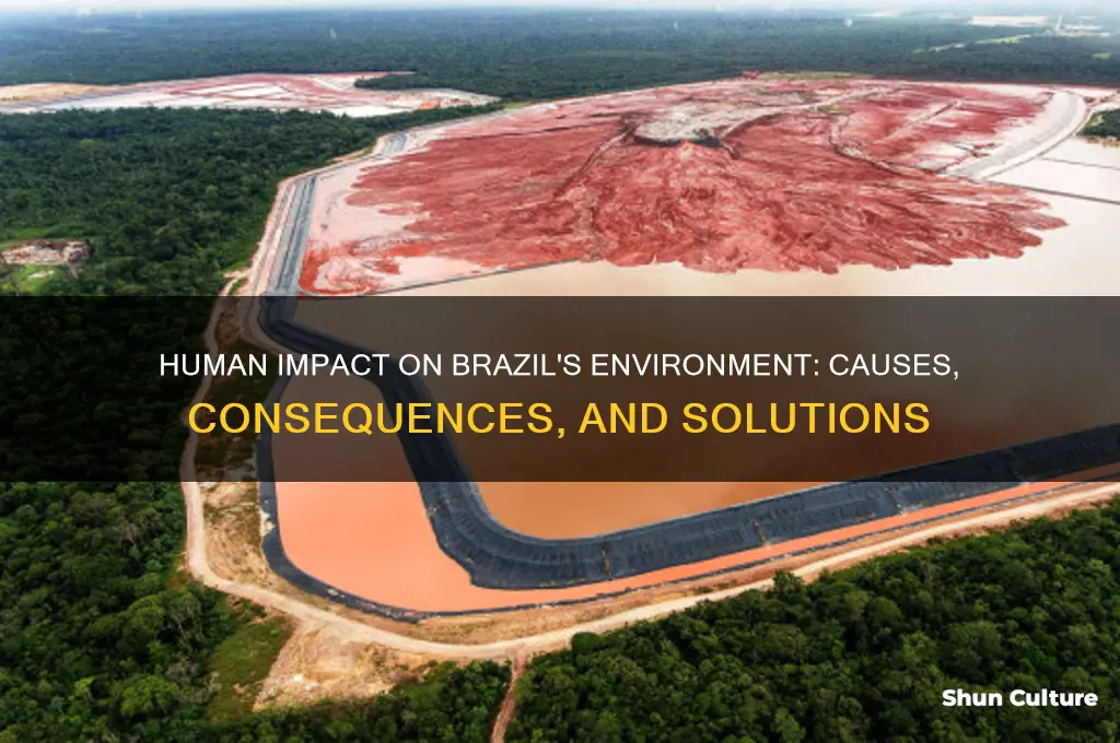 how do humans affect the environment in brazil