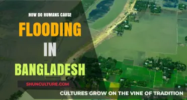 Human Activities Fueling Devastating Floods in Bangladesh: Causes Explained