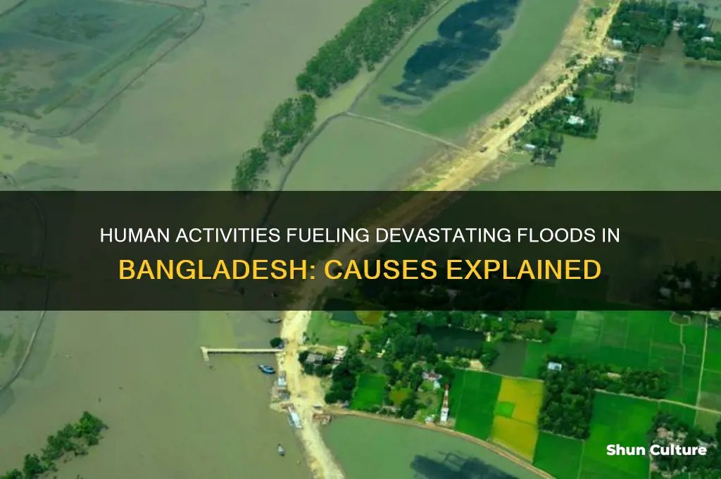 how do humans cause flooding in bangladesh