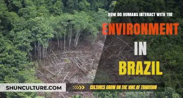 Human-Environment Dynamics: Exploring Brazil's Unique Ecological Interactions
