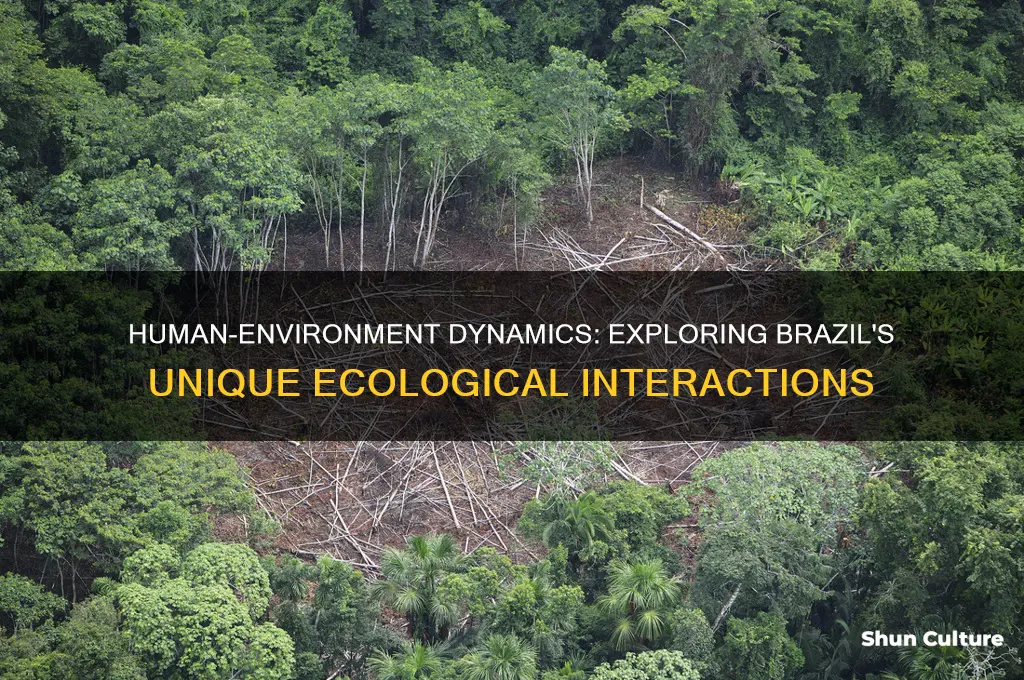 how do humans interact with the environment in brazil