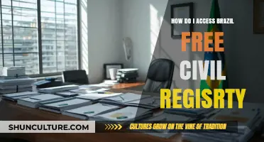 Accessing Brazil's Free Civil Registry: A Step-by-Step Guide