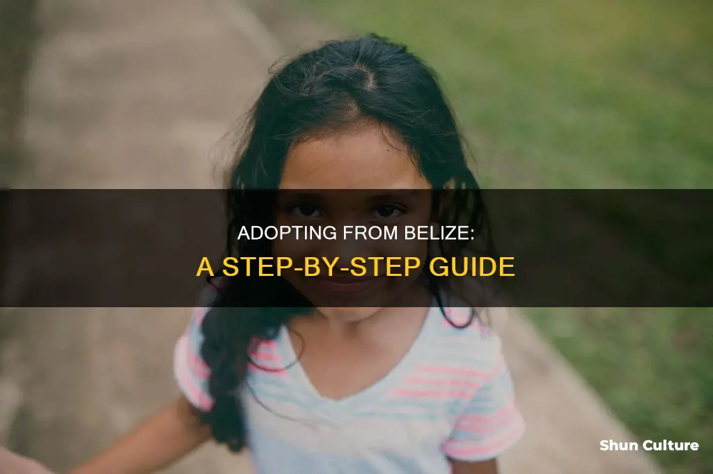 how do I adopt from belize