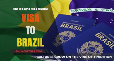 Step-by-Step Guide to Applying for a Brazil Business Visa