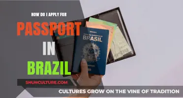 Step-by-Step Guide to Applying for a Brazilian Passport Easily