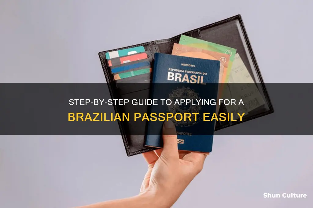 how do I apply for passport in brazil