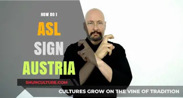 Mastering the Art of Asking: Austria ASL Sign Language