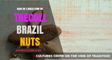 Mastering Cumulative Coli Growth with Brazil Nuts: A Step-by-Step Guide